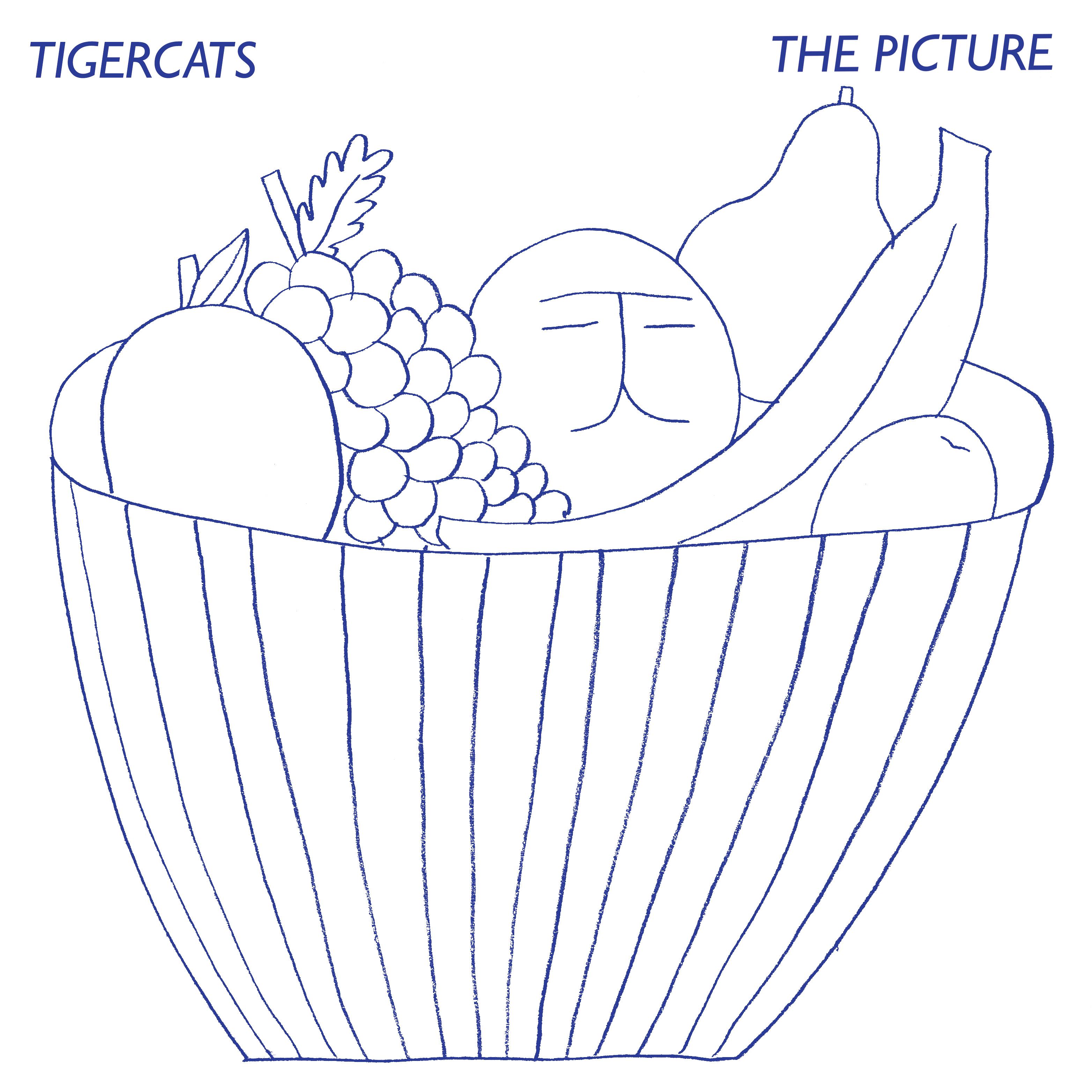 The Picture