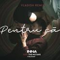 Pentru Că (Vladish Remix)专辑