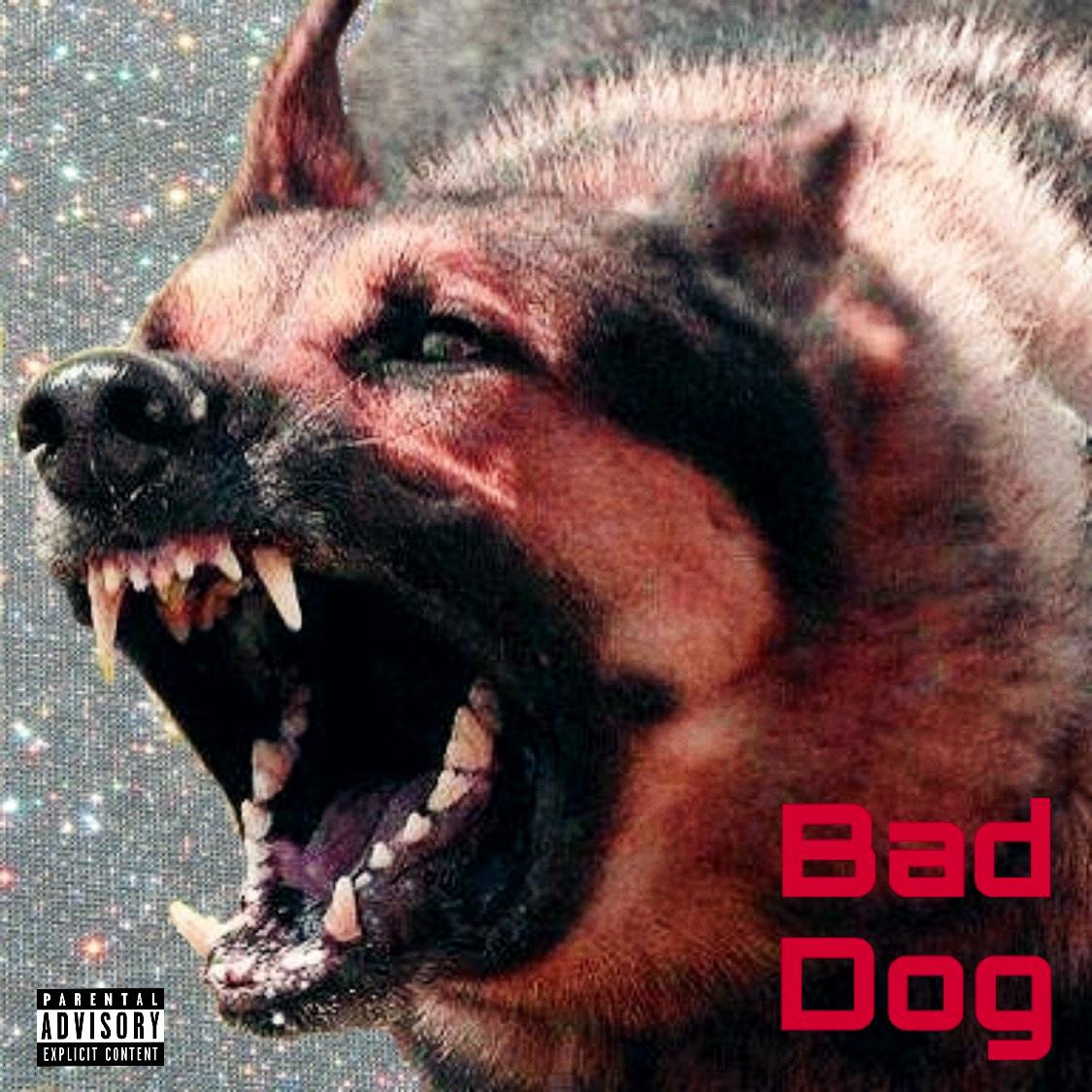 BadDog专辑