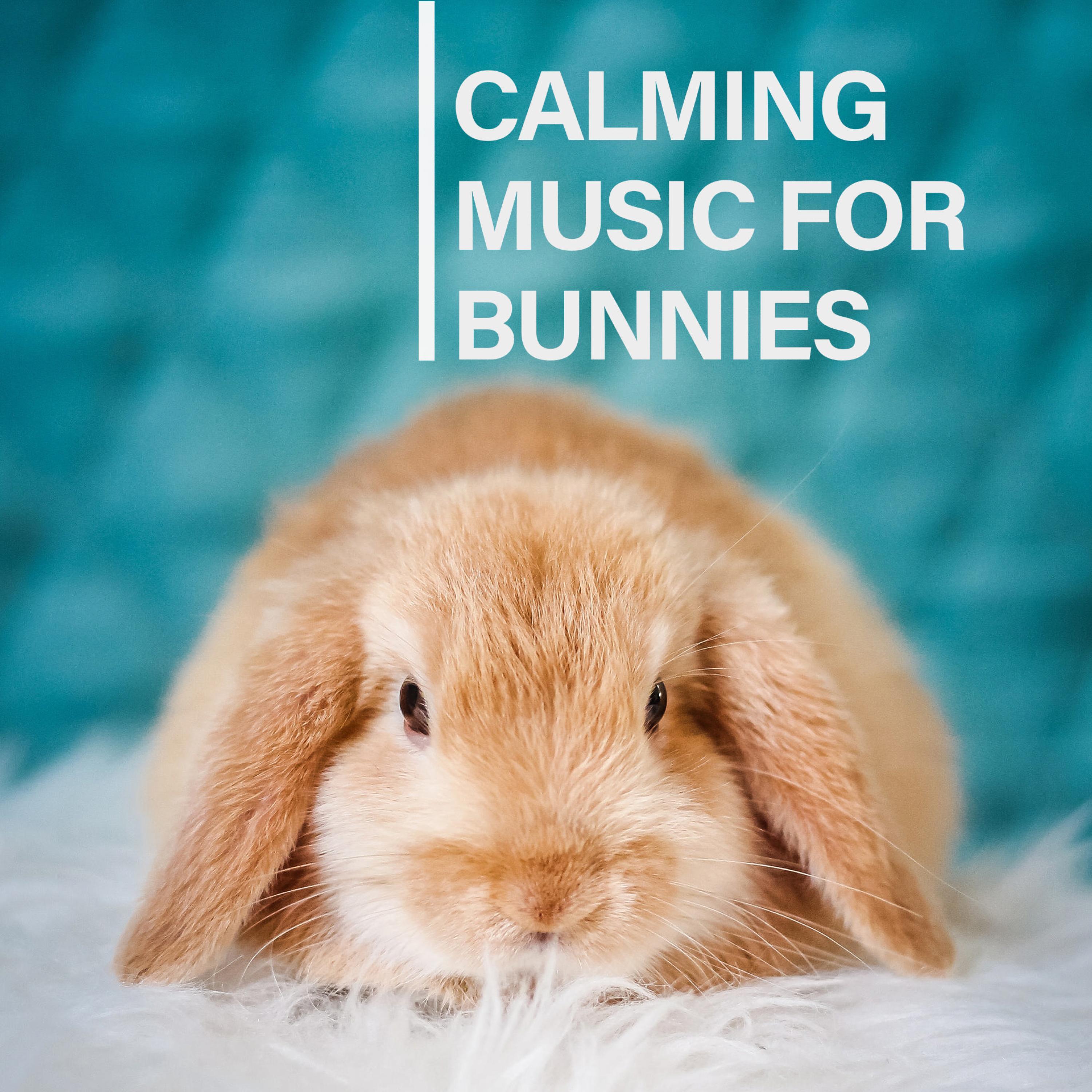 Soothing vibrations for agitated bunny - Music For Pets - 单曲 - 网易云音乐