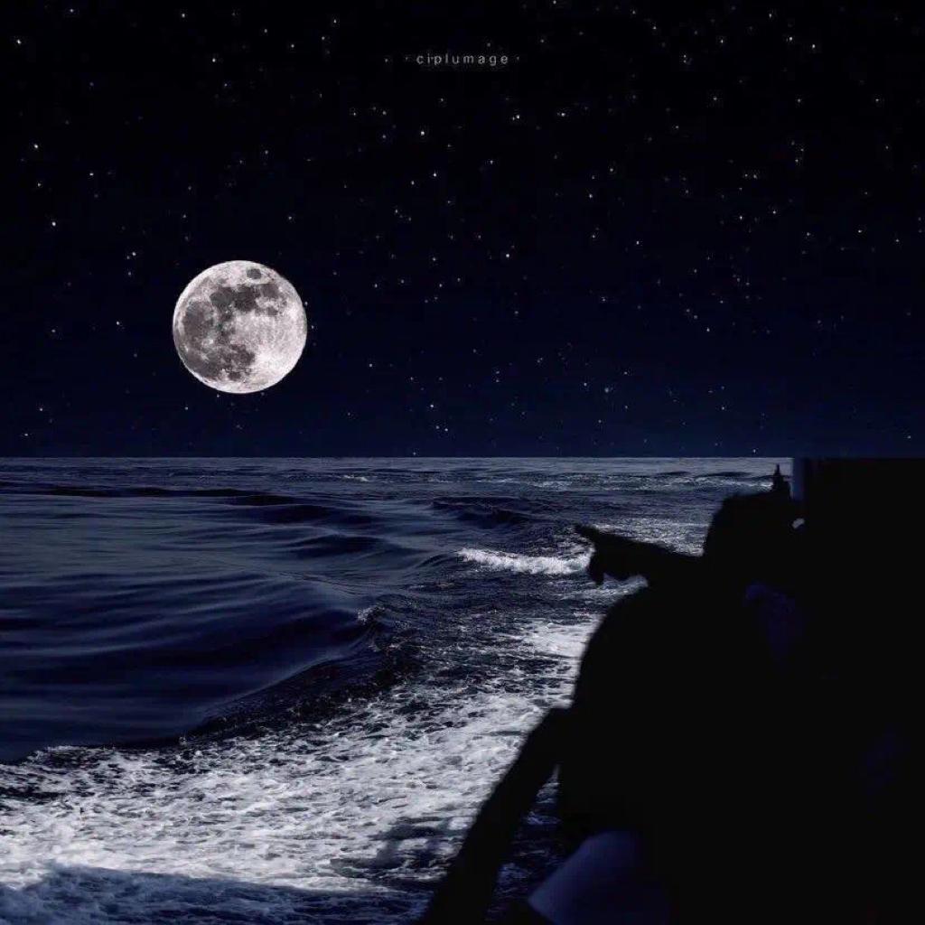 韩｜飘进心脏的旋律海浪