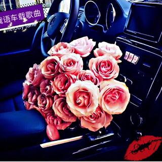 情调性感————俄语EA7车载歌曲