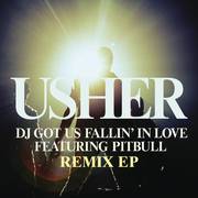 DJ Got Us Fallin' In Love - Remixes EP