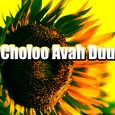 choloo avah duu