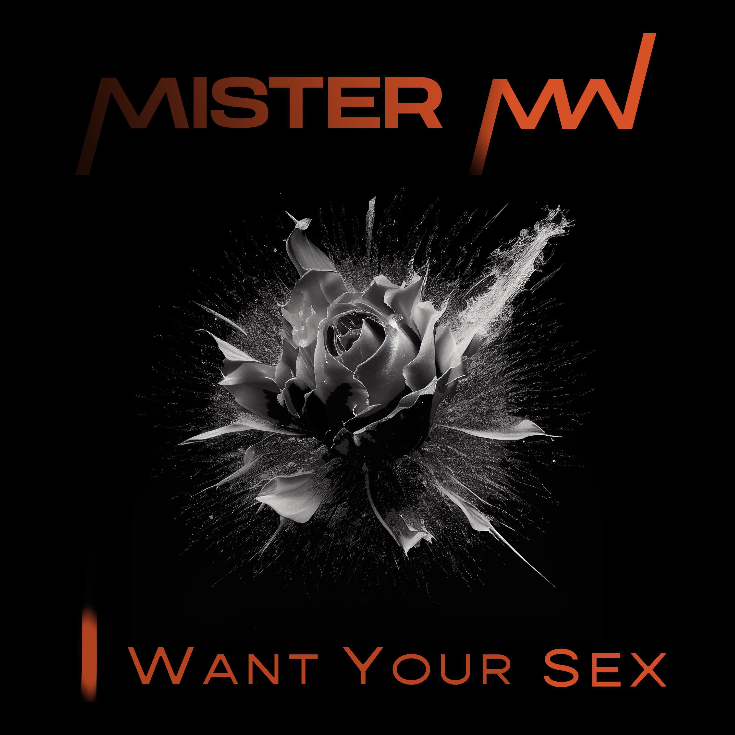 Mister W - I Want Your Sex (feat. Charles Schillings) (Funk the House Mix)