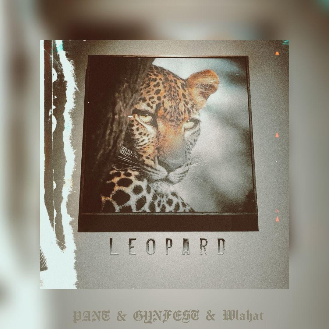 LEOPARD(猎豹）