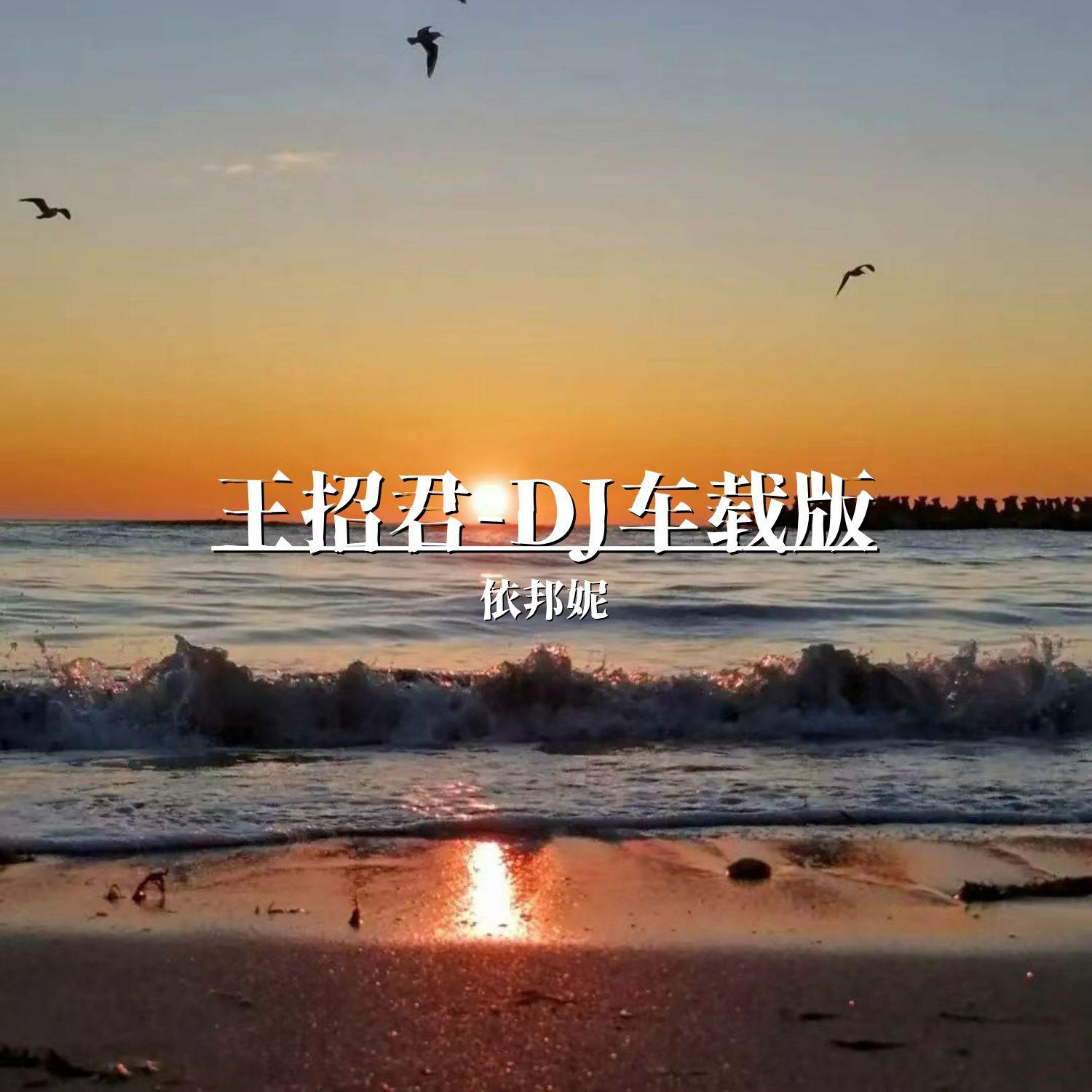 王招君（DJ车载版）
