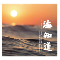 师鹏 - 海知道(伴奏)