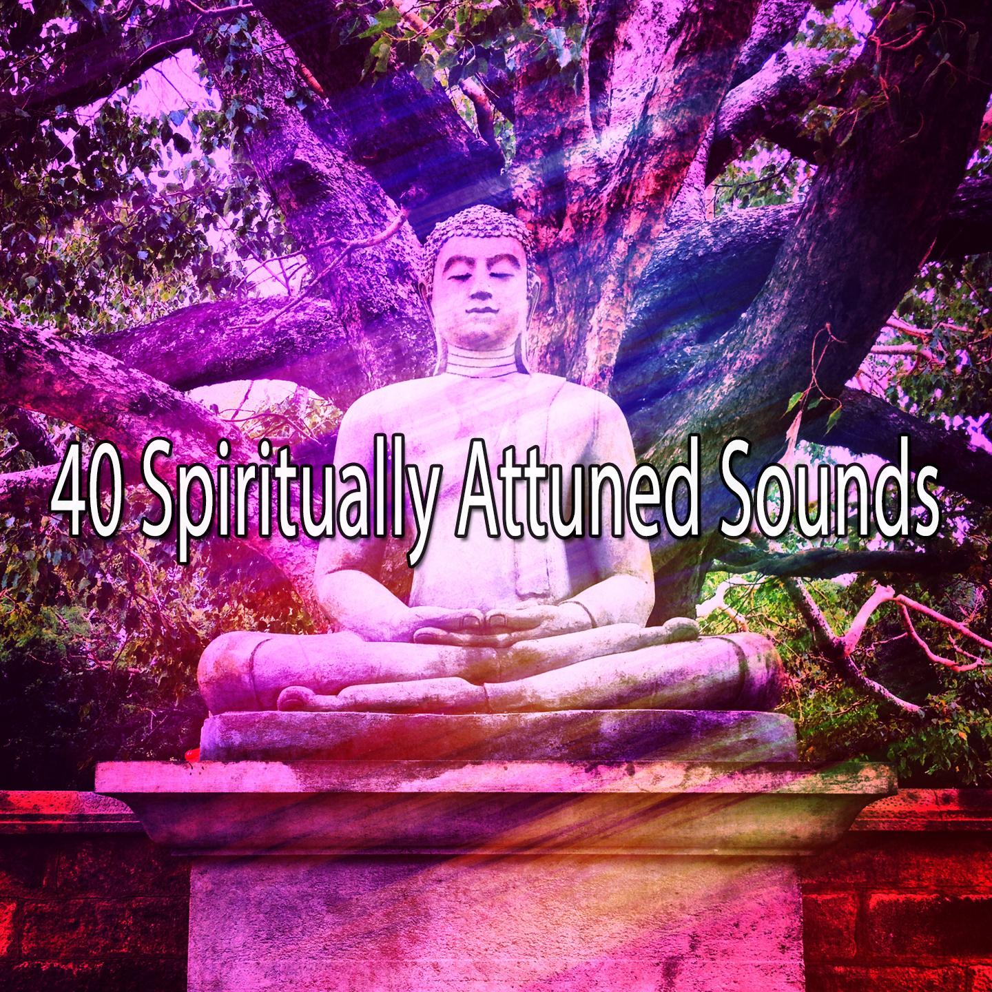 40 Spiritually Attuned Sounds专辑