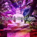 40 Spiritually Attuned Sounds专辑