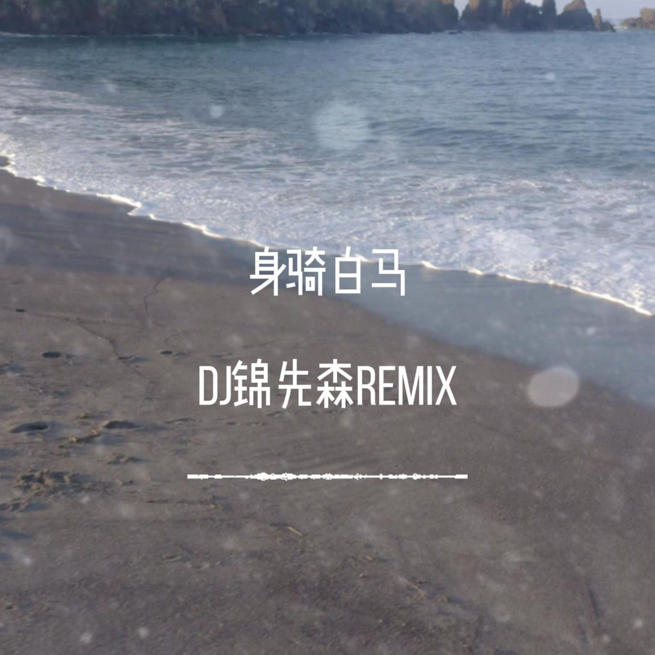 DJ锦先森 - 身骑白马（DJ锦先森 Remix）