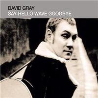 David Gray - Say Hello Wave Goodbye (karaoke)