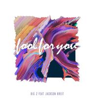 fOol fOr YoU (Official Instrumental)