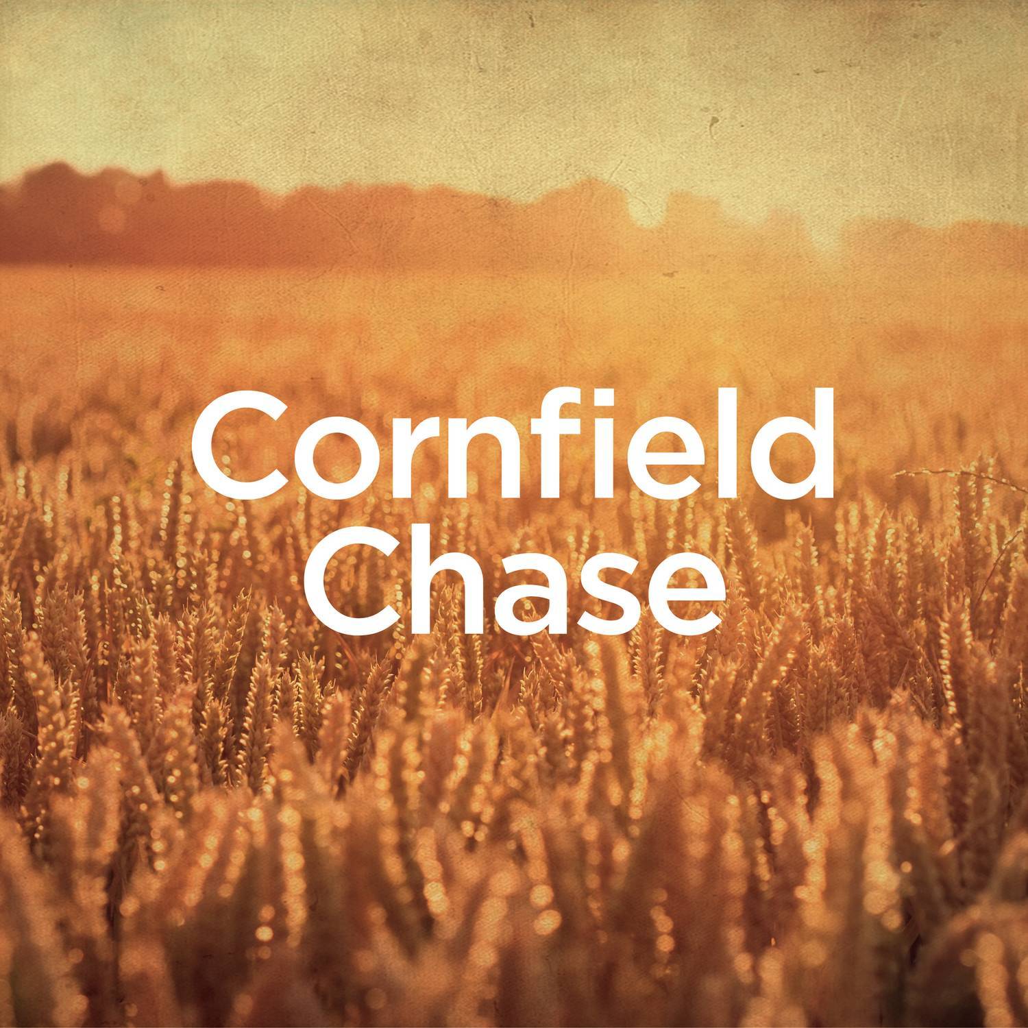 cornfield chase