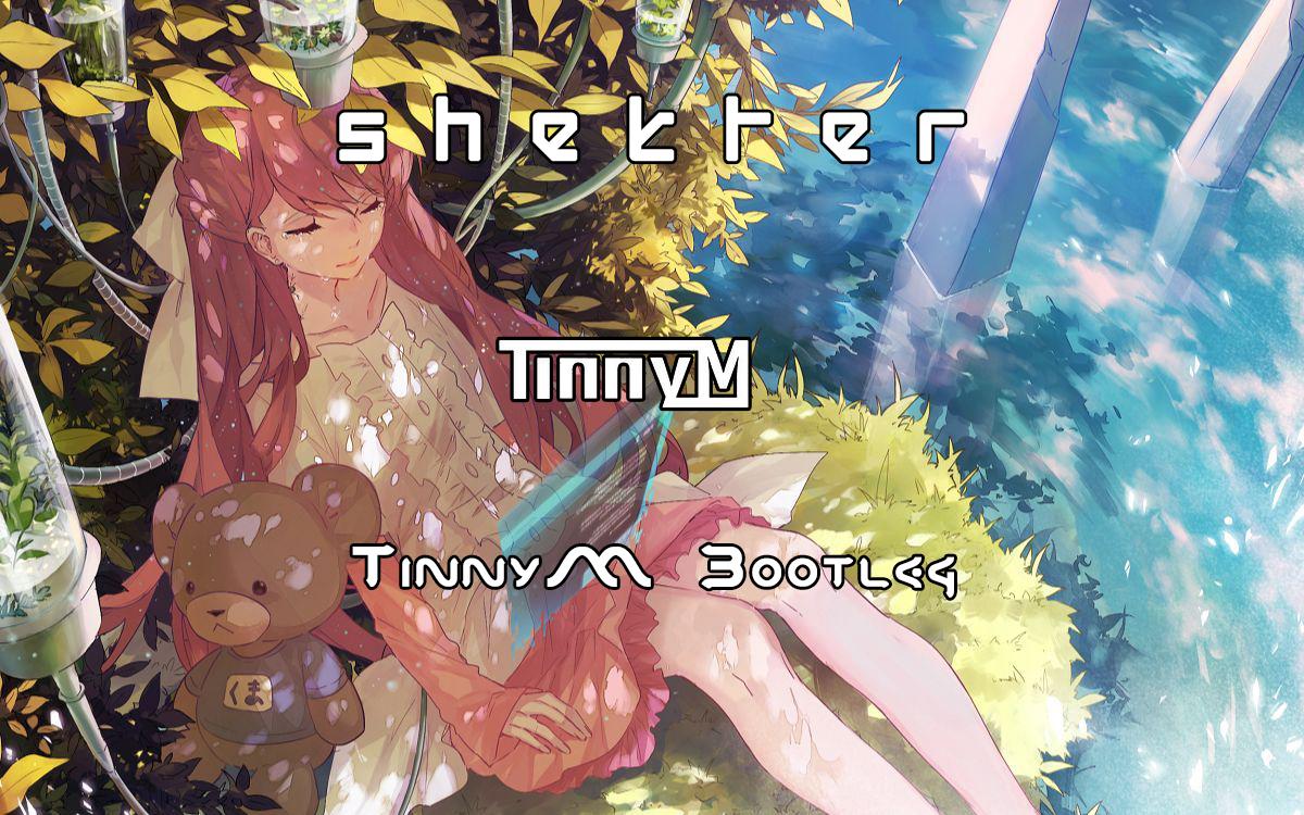 Shelter (TinnyM Bootleg)专辑