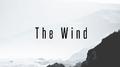 The Wind - Single专辑