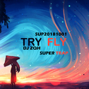 TRY FLY专辑