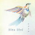 Blue Bird