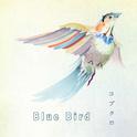 Blue Bird专辑