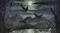 Corvus Corax Trioculi专辑