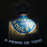 Banda Machos - A Pesar De Todo (karaoke)