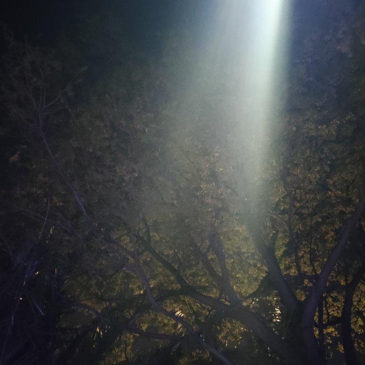 晚风吹过，思绪飘动