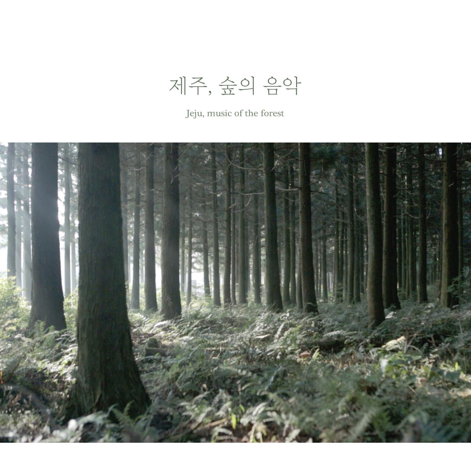 제주, 숲의 음악 (Jeju, music of the forest)专辑