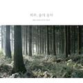 제주, 숲의 음악 (Jeju, music of the forest)