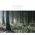 제주, 숲의 음악 (Jeju, music of the forest)专辑