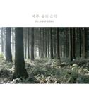 제주, 숲의 음악 (Jeju, music of the forest)专辑