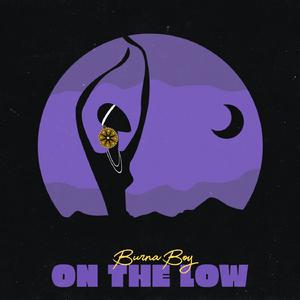 Burna Boy - On the Low (Karaoke Version) 带和声伴奏