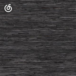 舞曲精选|从《Take a While》听起