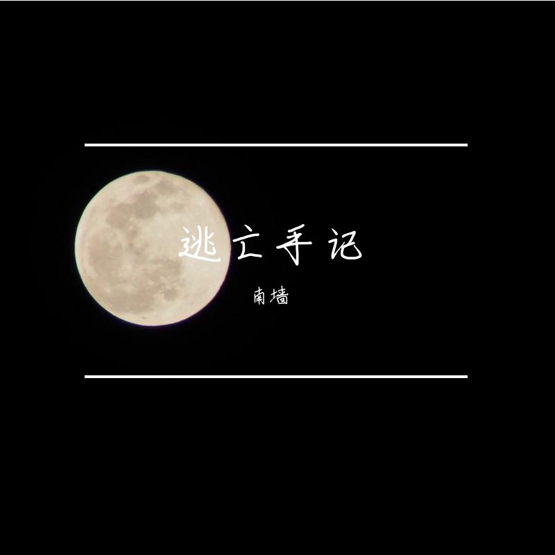 逃亡手记