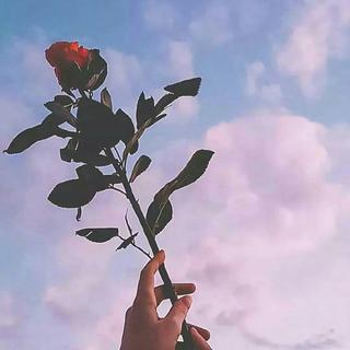 超nice的纯音乐♡