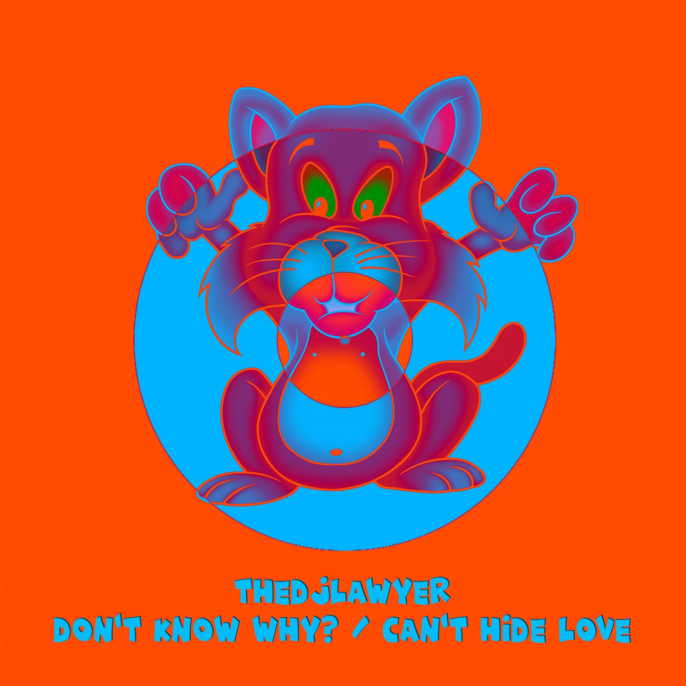Don't Know Why? / Can't Hide Love