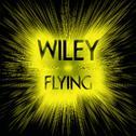 Flying (Remix)专辑