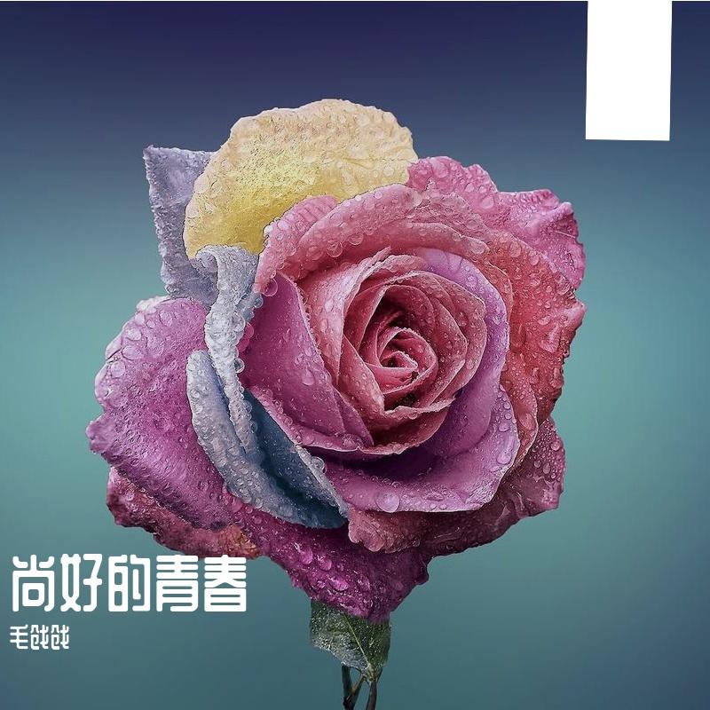 尚好的青春