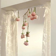 耳机漫游：99% 人没听过的纯音乐歌单