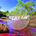 Stream