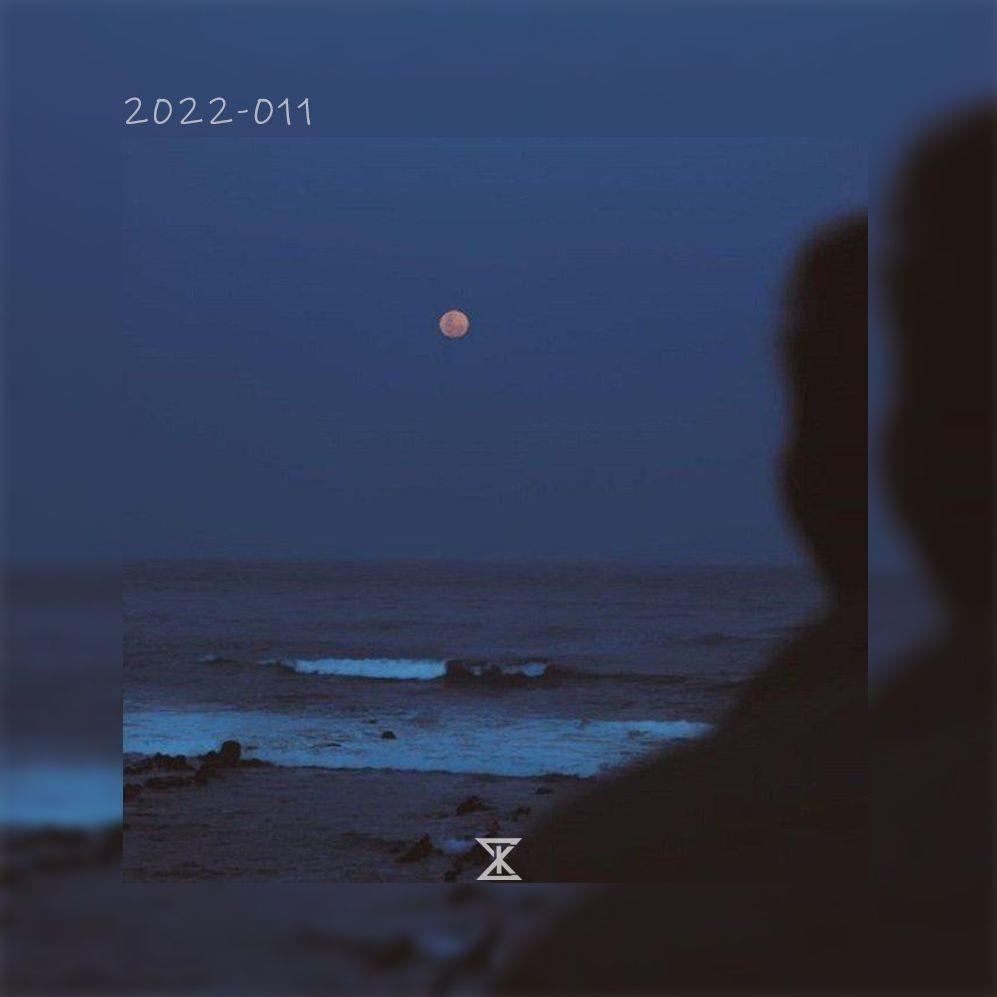 2022-011-"幻鲸"-pop X emo piano type beat