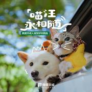 喵汪永相随
