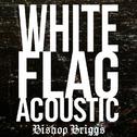 White Flag (Acoustic)专辑