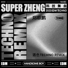 酒色(Techno Remix)