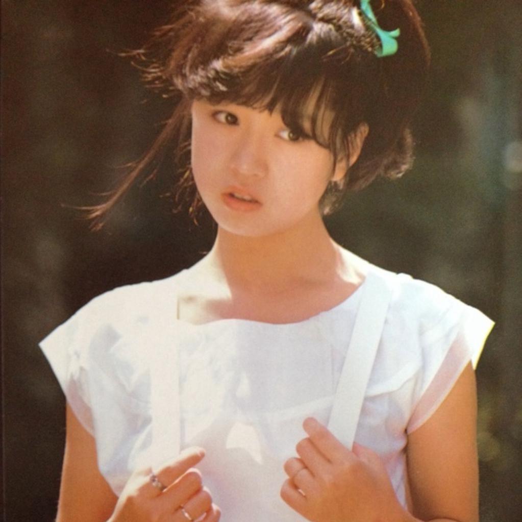 《一个人的明菜》