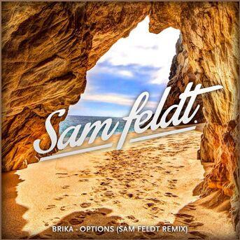 Options (Sam Feldt Remix)专辑