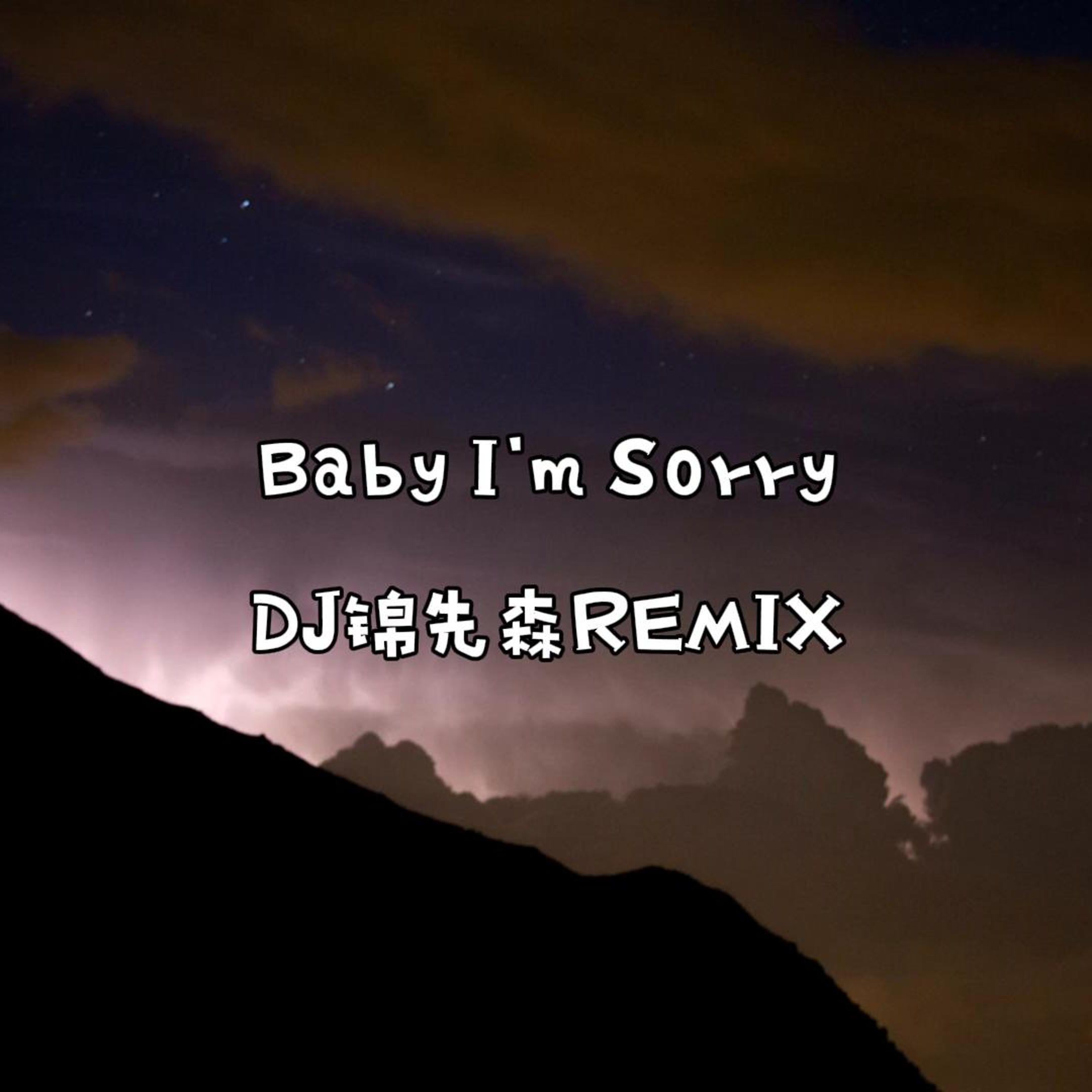 Baby I'm Sorry（DJ锦先森 Remix）