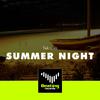 Summer Night (Original Mix)