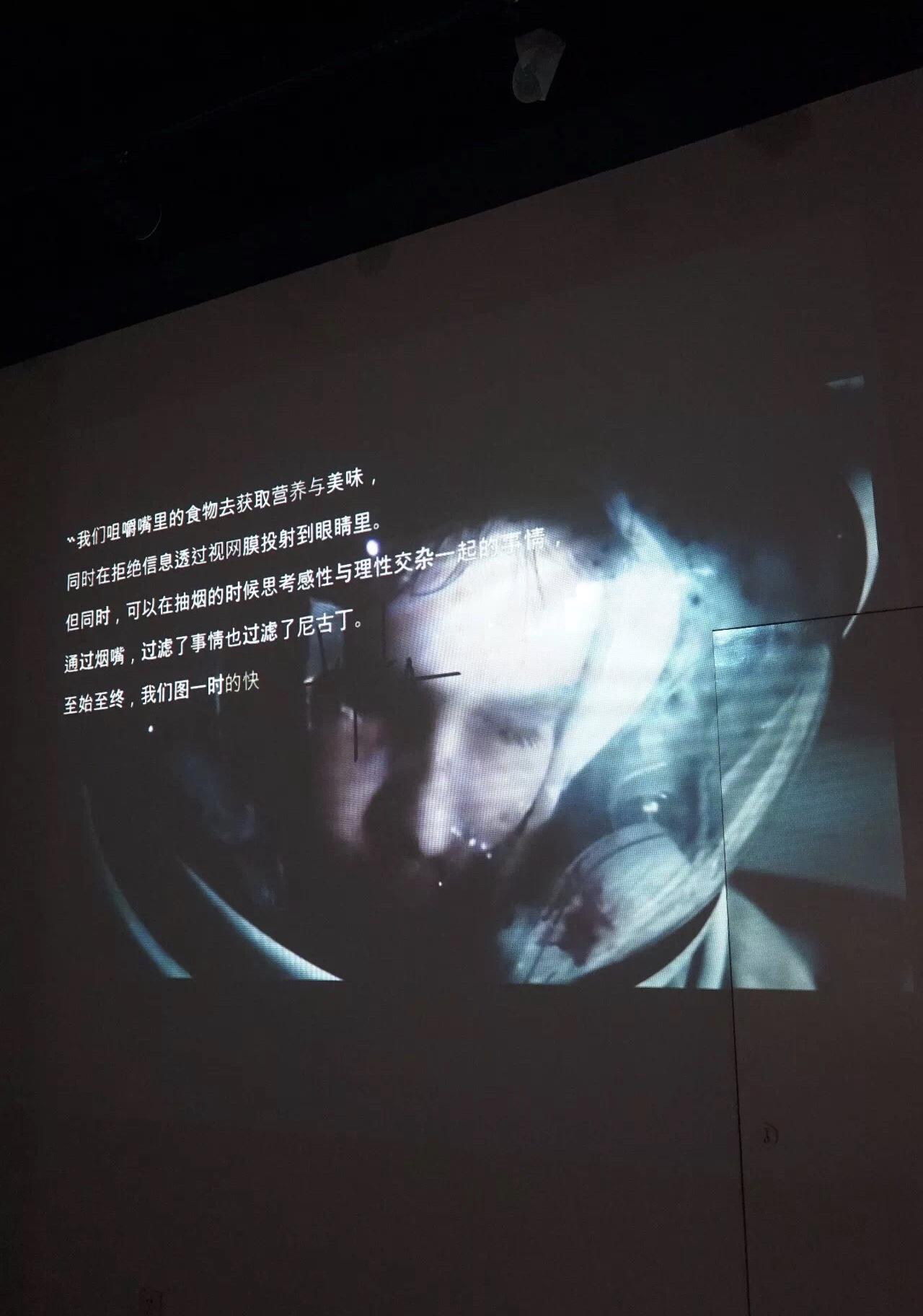 浮游·生物专辑