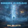 Eric Gillette - Sensory Overload