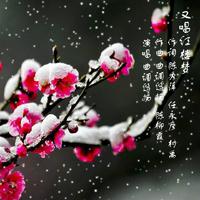 凭栏听雨 - 又唱红楼梦